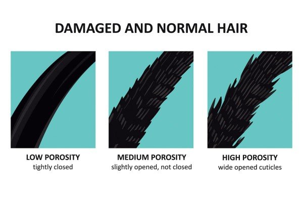 sự khác biệt giữa tóc khỏe mạnh với lớp biểu bì kín và tóc hư tổn